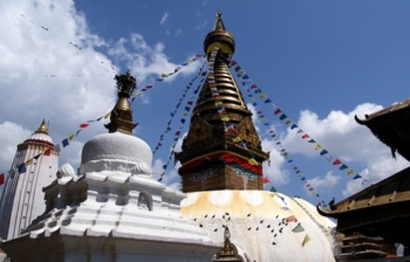 Explore the site